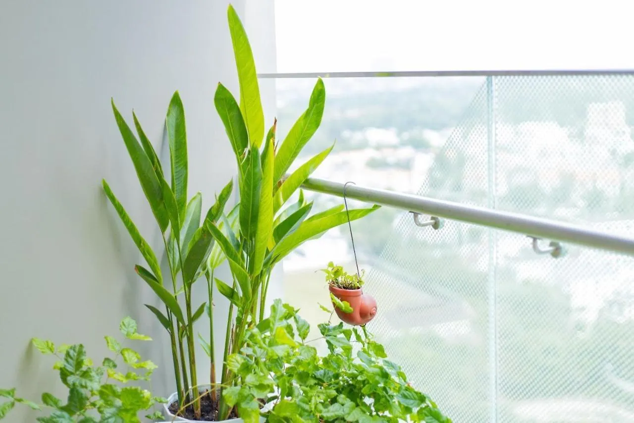 Apartment Oasis Suites - The Song, Infinity Pool & Gym Vung Tau Vietnam